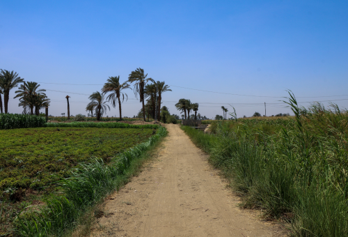 done farm picture